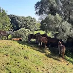 El Canton De Poo, Agradable A 800m De La Playa Vv-2256-as Llanes